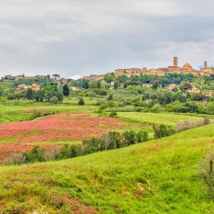 Blick auf Volterra