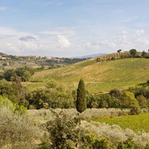 Blick von unserer Terrasse