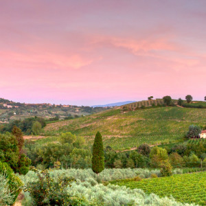Sonnenuntergang am Podere Montese