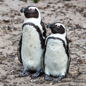 Gemeinsam Ausschau halten Gemeinsam Ausschau halten