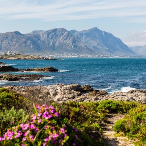 Der Cliff Path in Hermanus Der Cliff Path in Hermanus