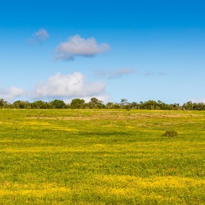 tolle Landschaft entlang des Gorah Loops tolle Landschaft entlang des Gorah Loops