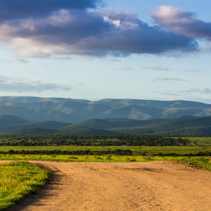 Addo Elephant Park im Abendlicht Addo Elephant Park im Abendlicht