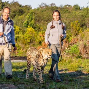 Spaziergang mit Duma Spaziergang mit Duma