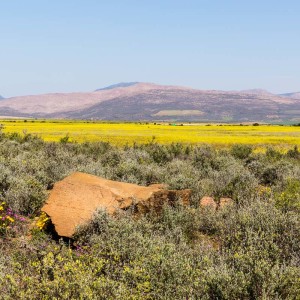 Landschaft auf dem Weg nach Montagu Landschaft auf dem Weg nach Montagu