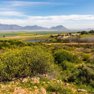 Unterwegs nach Clanwilliam Unterwegs nach Clanwilliam