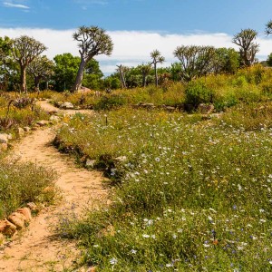 Ramskop Nature Reserve Ramskop Nature Reserve