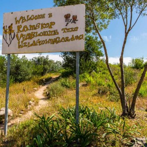 Ramskop Nature Reserve Ramskop Nature Reserve
