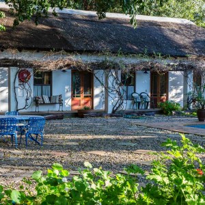 Saint Du Barrys Saint Du Barrys