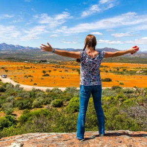 Was für eine Aussicht – Blumen überall Was für eine Aussicht - Blumen überall