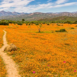 Hier geht es lang Hier geht es lang