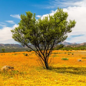 Alle paar Meter gibt es faszinierende Fotomotive Alle paar Meter gibt es faszinierende Fotomotive
