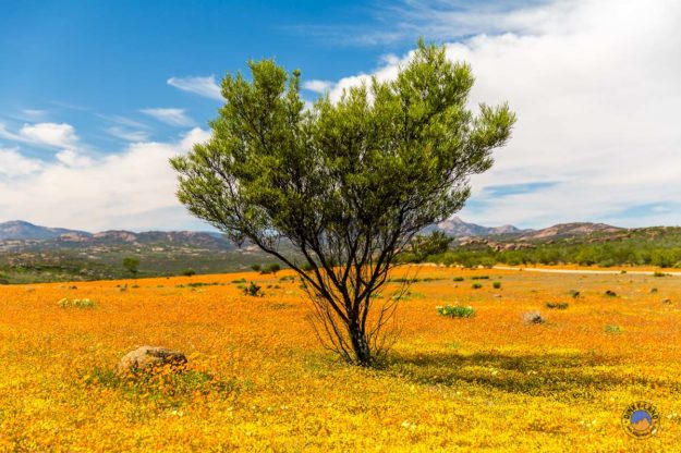Alle paar Meter gibt es faszinierende Fotomotive