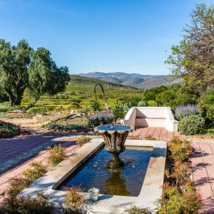 Gartenanlage des Naries Namaqualand Retreats