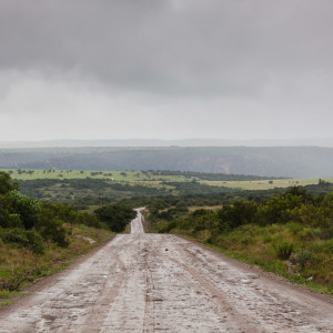 Matschige Piste im Shamwari Game Reserve Matschige Piste im Shamwari Game Reserve
