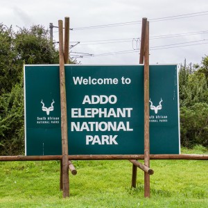 Wir erreichen den Addo Nationalpark Wir erreichen den Addo Nationalpark