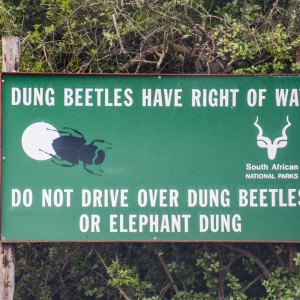 Warnschild im Addo Nationalpark Warnschild im Addo Nationalpark