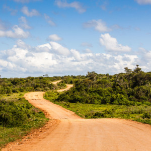Straße im Addo Elephant Park Straße im Addo Elephant Park