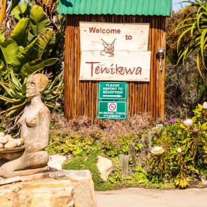 Tenikwa Wildlife Awareness Center Tenikwa Wildlife Awareness Center