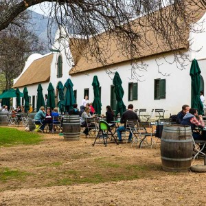 Das Weingut Groot Constantia