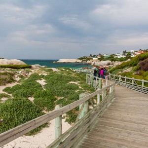 Holzstege am Boulders Beach