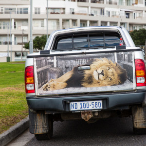 Cooles Motiv am Pickup Cooles Motiv am Pickup