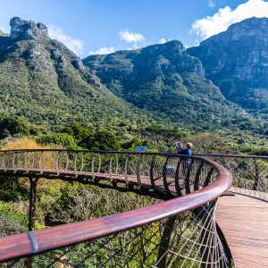 Tree Canopy Walkway Tree Canopy Walkway