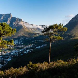 Tafelberg und Lions Head vom Signal Hill aus gesehen Tafelberg und Lions Head vom Signal Hill aus gesehen