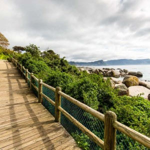 Holzsteg am Boulders Beach
