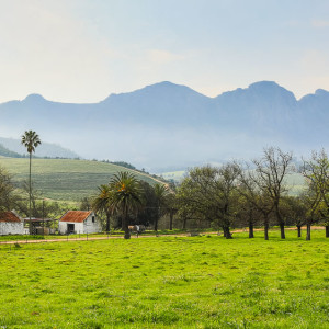 Auf dem Weg zum Delheim Wine Estate