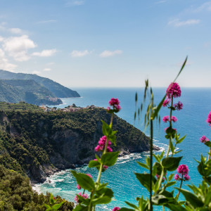 Corniglia vom Wanderweg aus