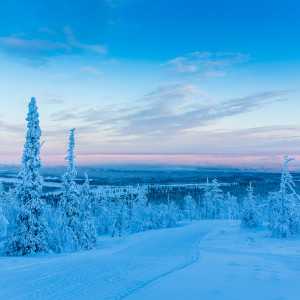 Eine unwirkliche Welt auf dem Levi Fjäll Eine unwirkliche Welt auf dem Levi Fjäll