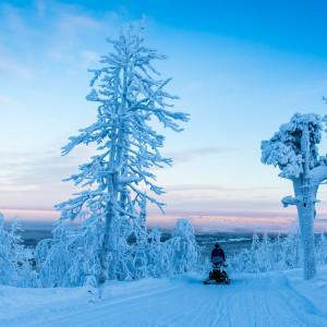 Eine unwirkliche Welt auf dem Levi Fjäll Eine unwirkliche Welt auf dem Levi Fjäll
