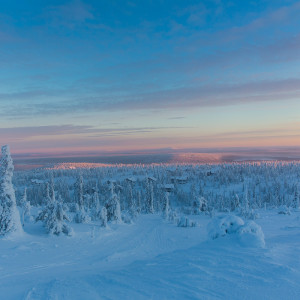 Oben auf dem Levi Fjäll Oben auf dem Levi Fjäll