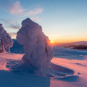 Sonnenuntergang auf dem Levi Fjäll Sonnenuntergang auf dem Levi Fjäll