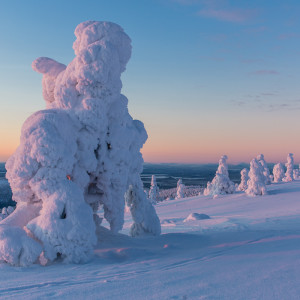 Sonnenuntergang auf dem Levi Fjäll Sonnenuntergang auf dem Levi Fjäll