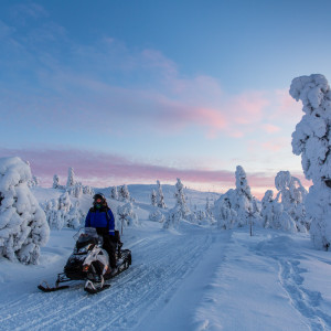 Wie auf einem anderen Planeten Wie auf einem anderen Planeten