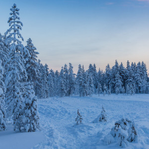 So stellen wir uns eine Winterlandschaft vor
