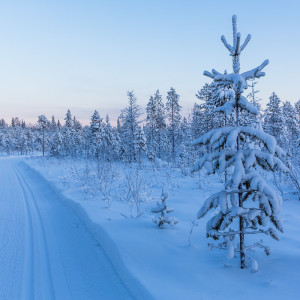 Langlaufstrecke nach Luvattumaa Langlaufstrecke nach Luvattumaa