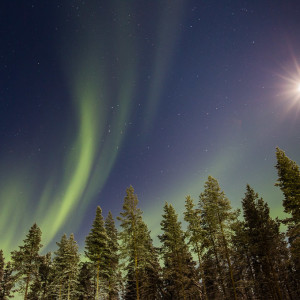 Imposante Nordlichter direkt am Snow Village Imposante Nordlichter direkt am Snow Village