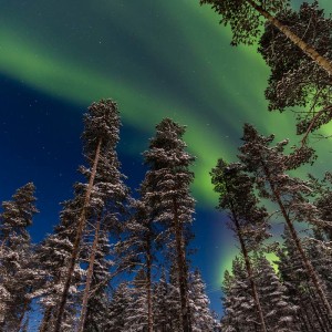 Imposante Nordlichter direkt am Snow Village Imposante Nordlichter direkt am Snow Village