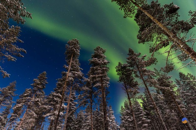 Imposante Nordlichter direkt am Snow Village