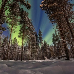 Imposante Nordlichter direkt am Snow Village Imposante Nordlichter direkt am Snow Village