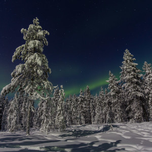 Nordlichter in Levi Nordlichter in Levi