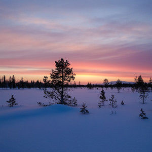 Sonnenaufgangsstimmung in Levi