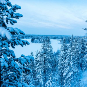 Schneewanderung in Levi