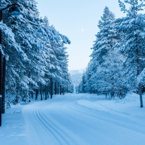 Schneewanderung in Levi