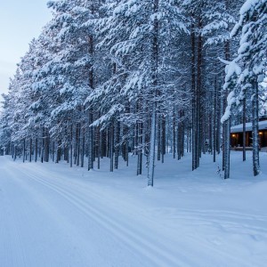 Schneewanderung in Levi