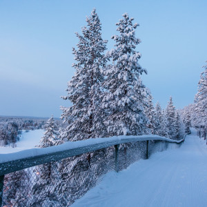 Schneewanderung in Levi