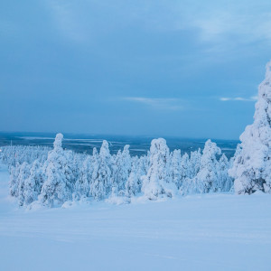 Ganz alleine auf der Piste Ganz alleine auf der Piste